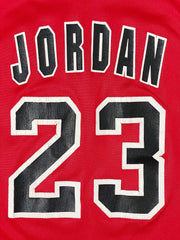 1995 MJ Chicago Bulls Champion Jersey (L)